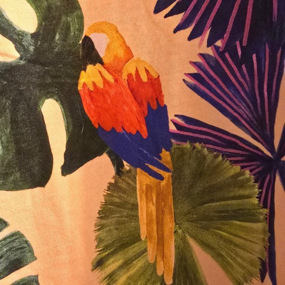 FARM RIO Sand Macaw Jungle Organic Cotton T Shirt Dress Sz M and L Tropical Boho - Picture 10 of 16